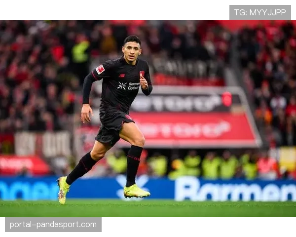 勒沃库森阵中费尔南德斯、帕拉西奥斯等人因伤缺阵